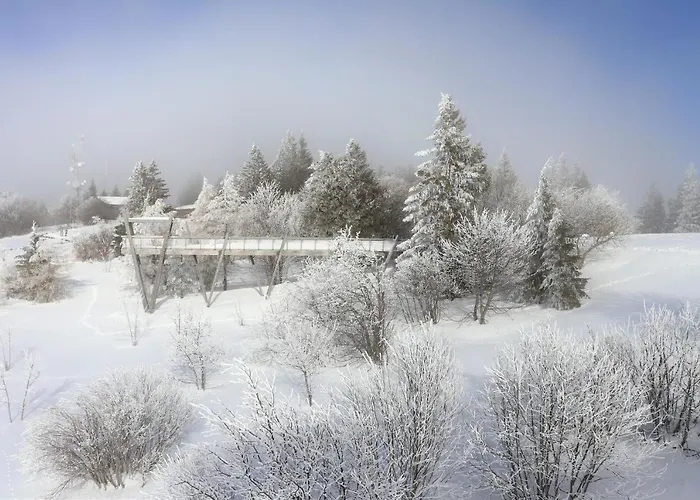 La Source Positive * Aix-les-Bains